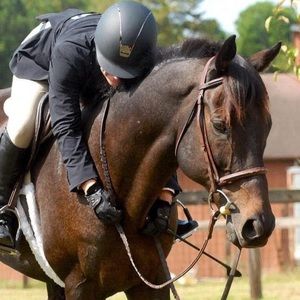 Meet your Posher, Ally